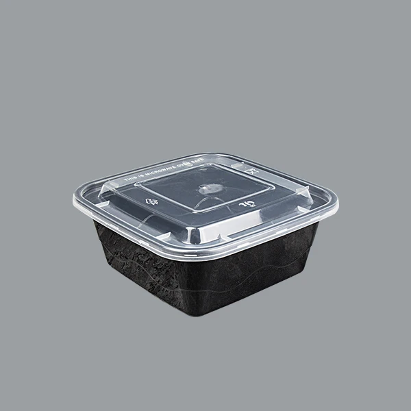 American Square Packing Box Disposable Meal Box